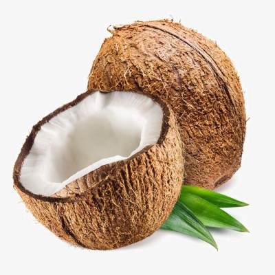 தேங்காய் / Thenkay - Coconut